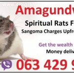 Best Spiritual rats for Money Spells in Dubai | Bogota | Berlin | New York | Warsaw | Texas +27634299958