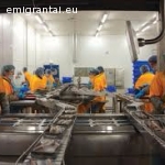 Darbui žuvies fabrike Vokietijoje reikalingi zmones