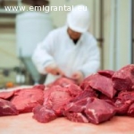 Ieškomi vaikinai dirbti mėsos iškaulinime Olandijoje