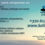 Keleivių pervežimo paslaugos Lietuvoje / oro uostai ir keltai